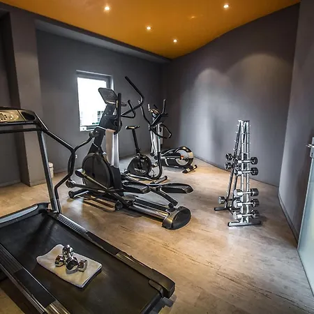 Hotel Hotel Sinsheim 4*