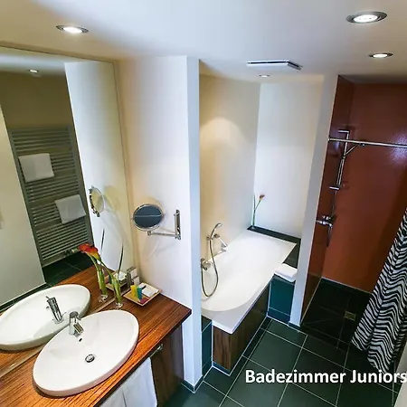 Hotel Sinsheim 4*